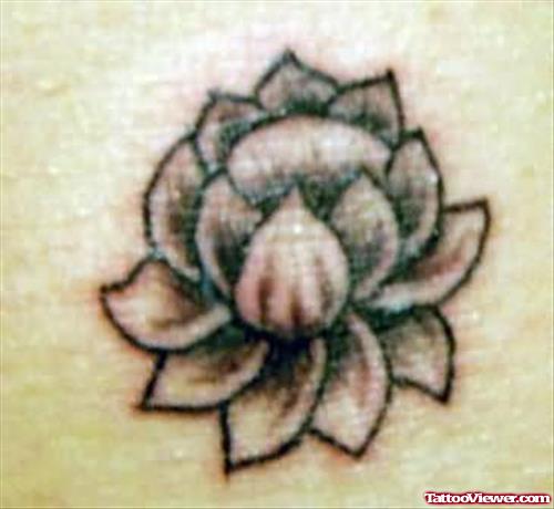 Lotus Tattoo Latest Design