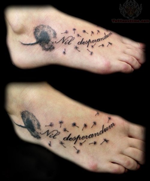 Nil Desperandum And Dandelion Puff Foot Tattoo