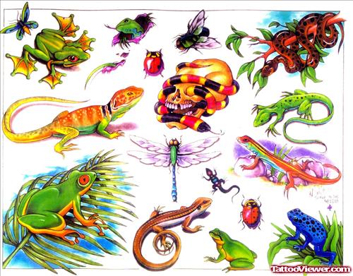 Lizard Frog Insects Tattoos Art