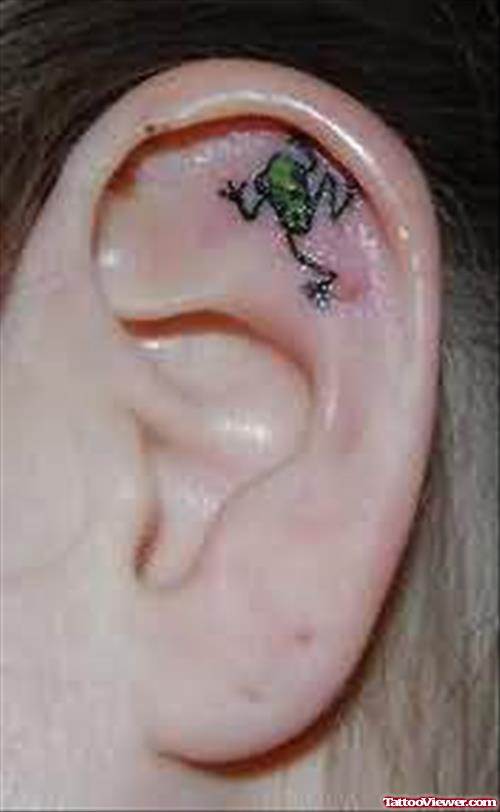 Tiny Frog Tattoo Inside The Ear