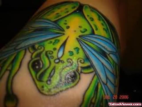 Frog Fly Tattoos