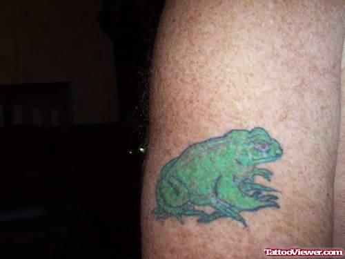 Small Green Frog Tattoo On Arm