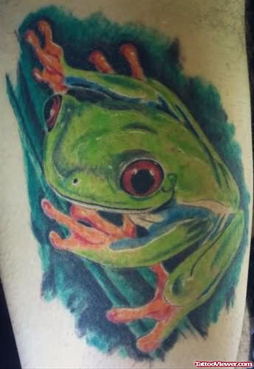 Green Tree Frog Tattoo
