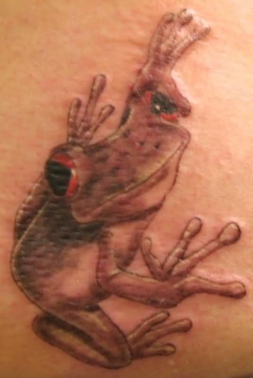 Red Eye Frog Tattoo