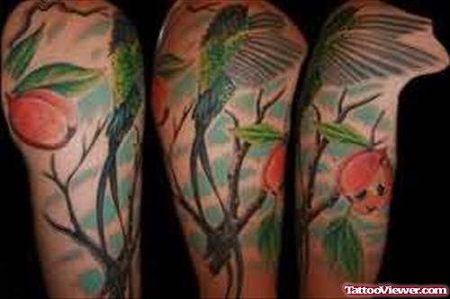 Fruit Tree Tattoo On Shoulder