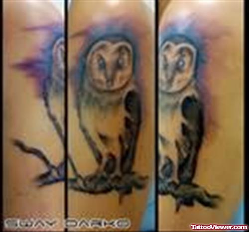 Sitting Owl Tattoo