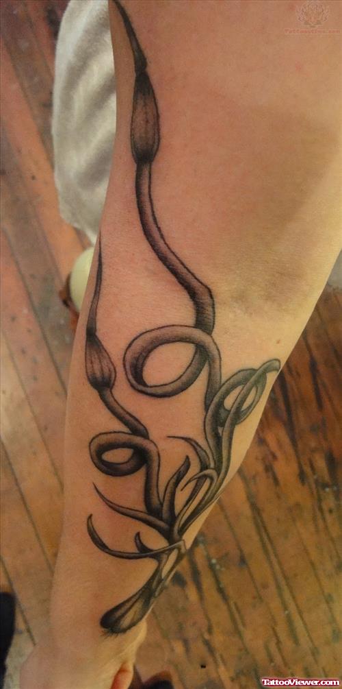 Garlic Tattoo On Sleeve