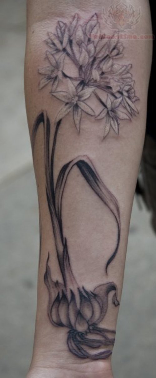 Garlic Flower Tattoo On Arm