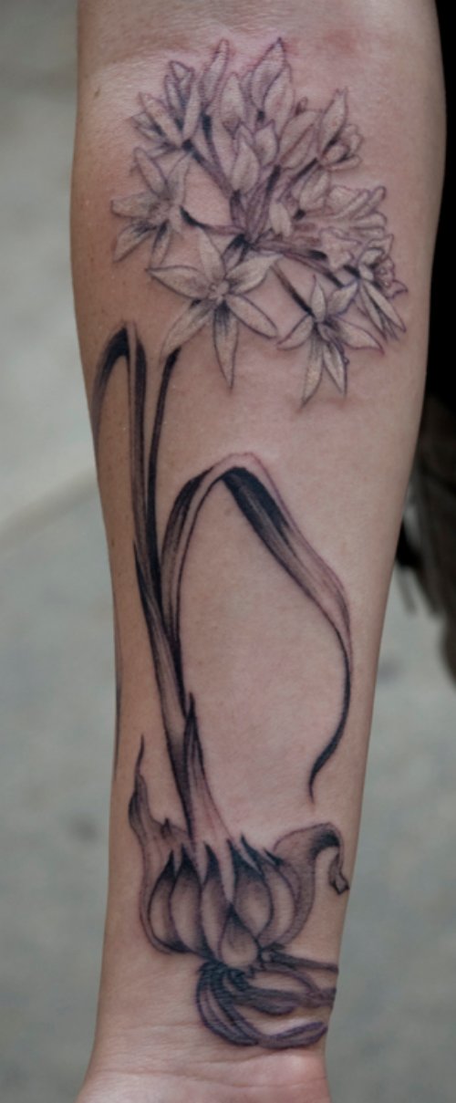 Grey Ink Garlic Flower Tattoo On Right Forearm