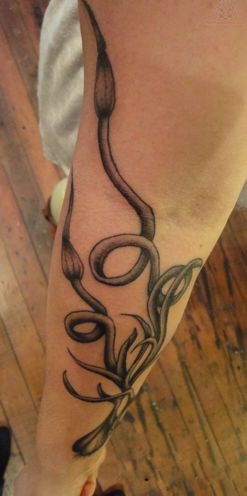 Grey Ink Garlic Tattoo On Sleeve