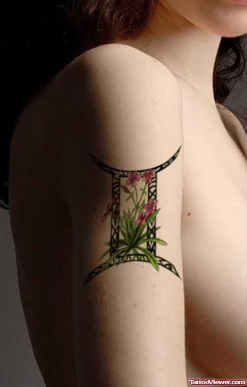 Color Ink Gemini Tattoo On Right Half Sleeve