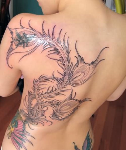 Phoenix Feather Tattoo On Back