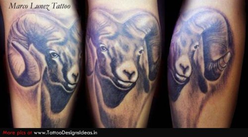 Amazing Goat Head Aries Tattoo