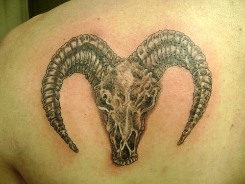 Back Shoulder Goat Head Tattoo
