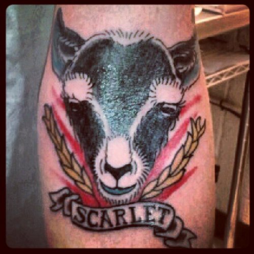 Black Goat Head With Scarlet Banner Tattoo