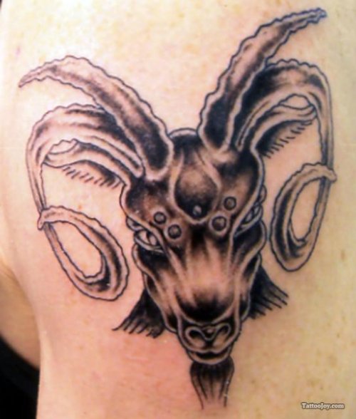 Goat Head Grey Ink Tattoo On Left Shoulder