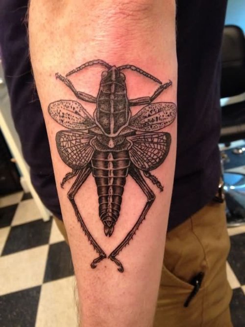 Grey Ink Grasshopper Tattoo On Sleeve