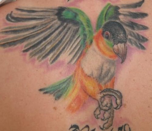 Coloured Graveyard Bird Tattoo