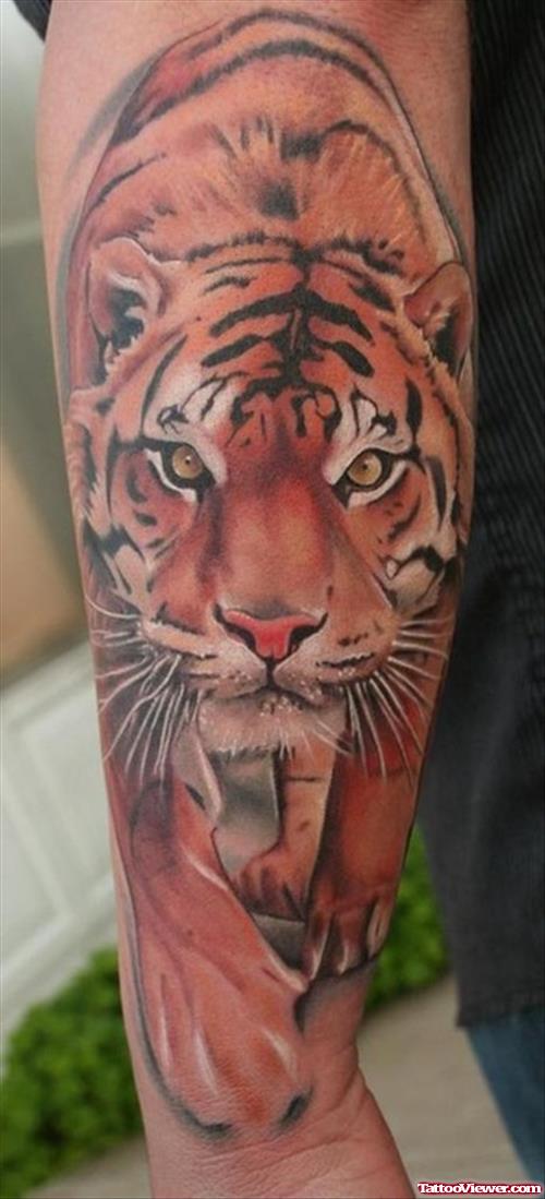 Colored Tiger Half Sleeve Tattoo For Men