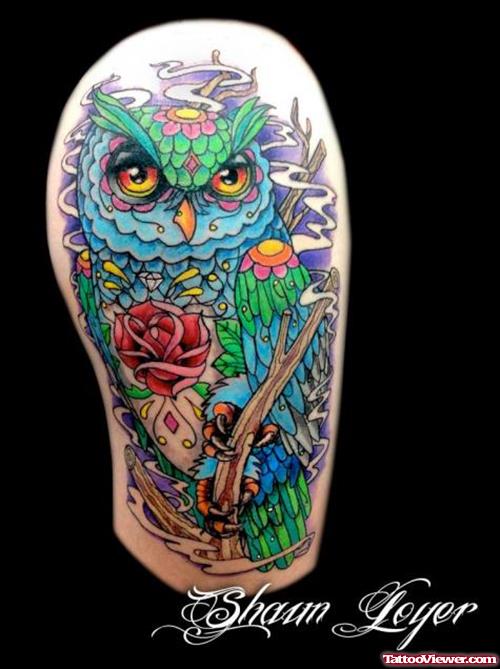 Red Rose And Color Owl Half Sleeve Tattoo