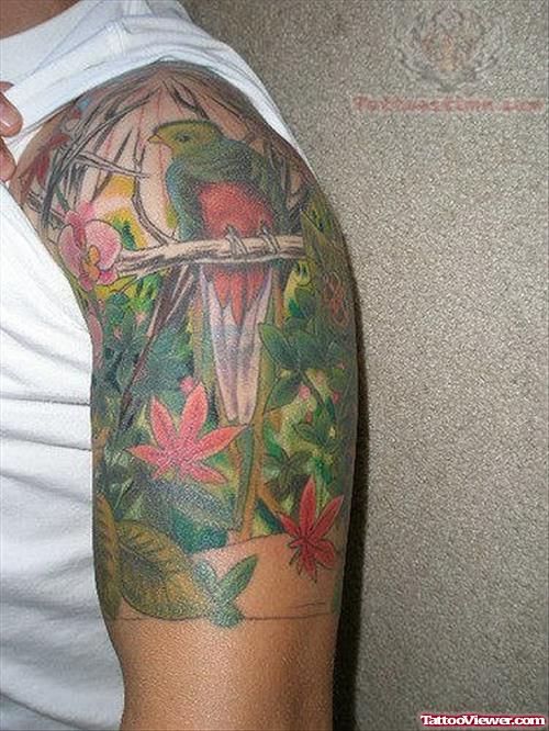 Colorful Parrot Tattoo On Half Sleeve
