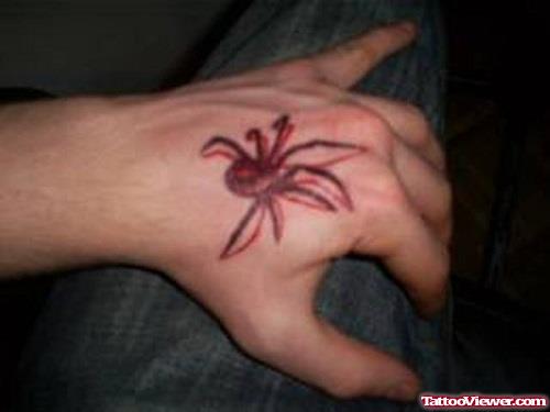 Color 3D Spider Tattoo On Left Hand