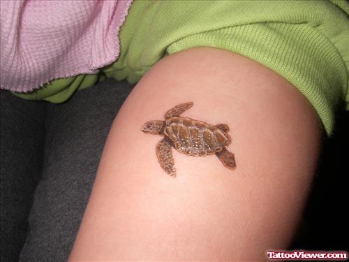 Attractive Hawaiian Turtle Tattoo
