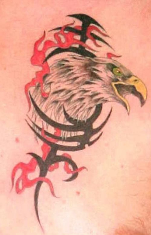 Black Ink Tribal And Hawk Head Tattoo Design