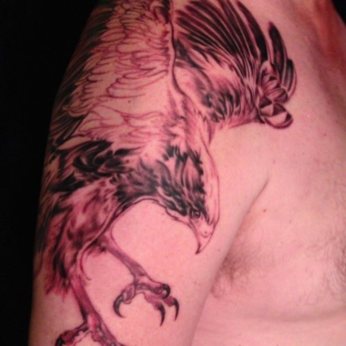 Nice Flying Hawk Tattoo On Right Shoulder