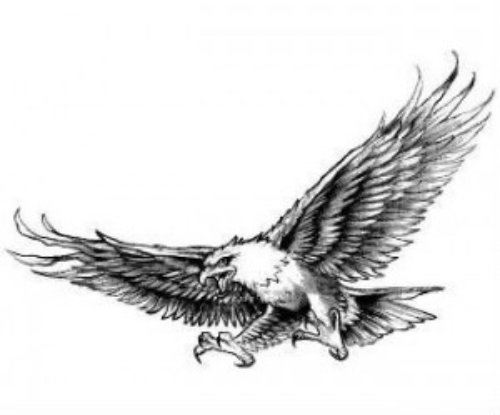 Grey Ink Flying Hawk Tattoo Design