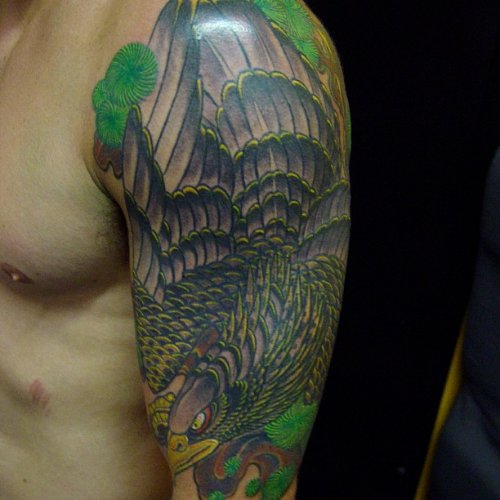 Left Half Sleeve Hawk Color Ink Tattoo
