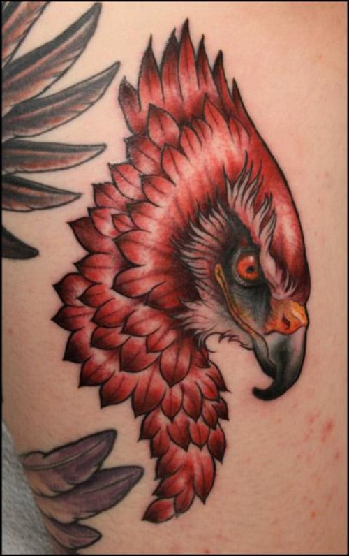 Red Ink Hawk Head Tattoo