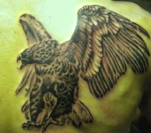 Open Wings Back Shoulder Hawk Tattoo