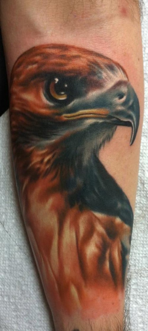 Colored Ink Hawk Head Tattoo On Arm