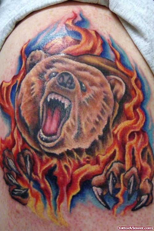 Color Ink Bear Head In Fire Tattoo On Shoulder