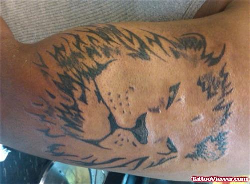 Tribal Lion Head Tattoo On Biceps