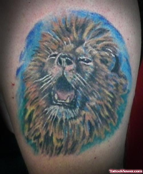 Roaring Lion Head Tattoo on Shoulder