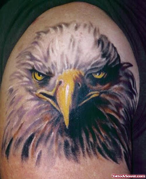 Color Ink Eagle Head Tattoo On Shoulder