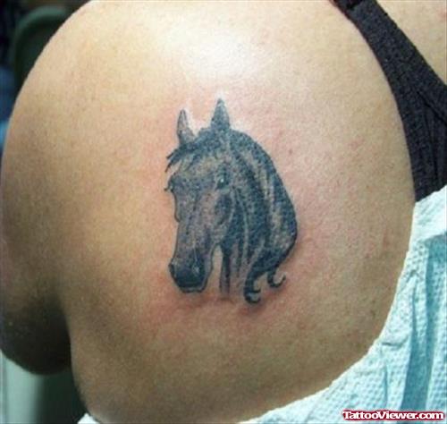 Black Horse Head Tattoo On Left Back Shoulder