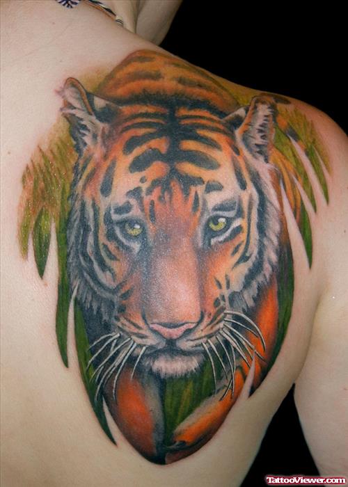 Colored Tiger Head Tattoo On Right Back Shoulder
