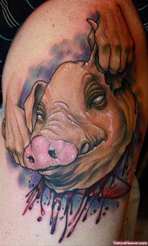 Color Ink Pig Head Tattoo on Shoulder