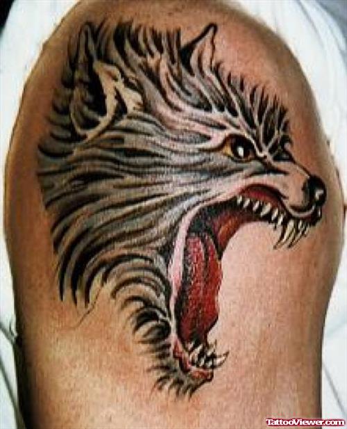 Wolf Head Tattoo On Shoulder