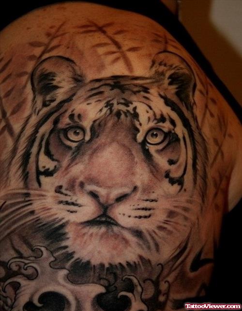 Grey Ink Tiger Head Tattoo On Right Shoulder