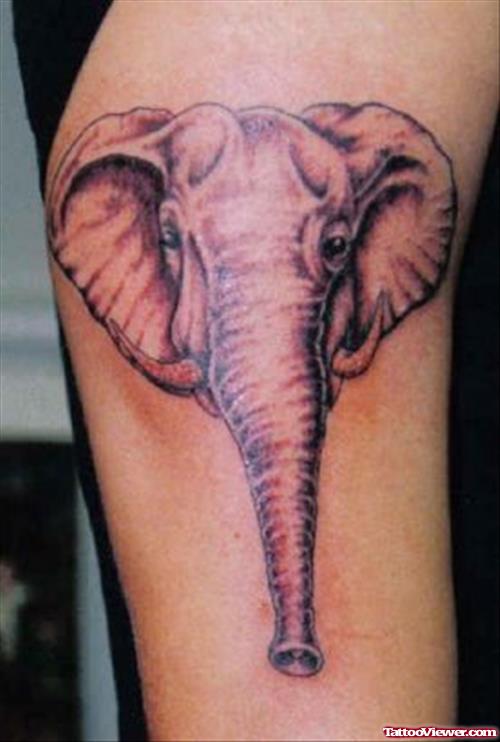 Grey Ink Elephant Head Tattoo On Sleeve