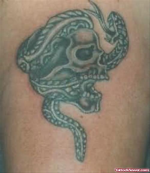 Snake On Skull Tattoo