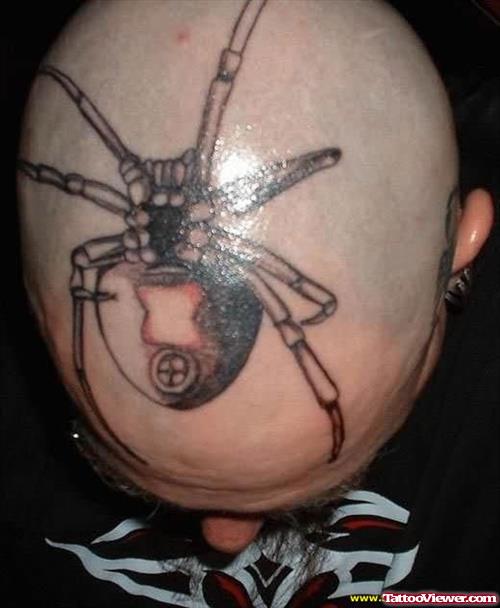 Spider Big Tattoo On Head