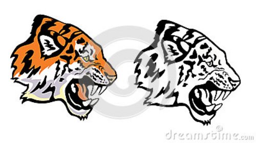 Tiger Head Tattoos Designs For Man Head