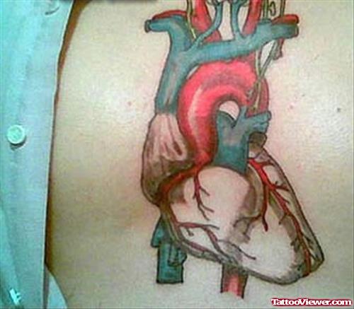 Awesome Colored Heart Tattoo On Back