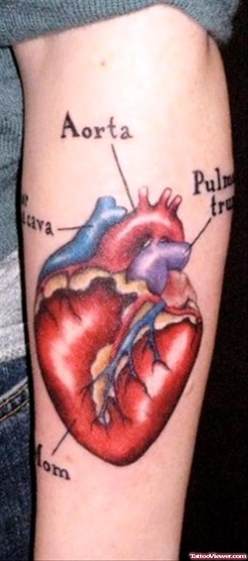Colored Human Heart Tattoo On Left Arm