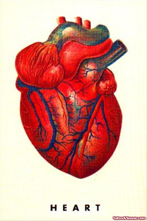 Awesome Red Ink Human Heart Tattoo Design